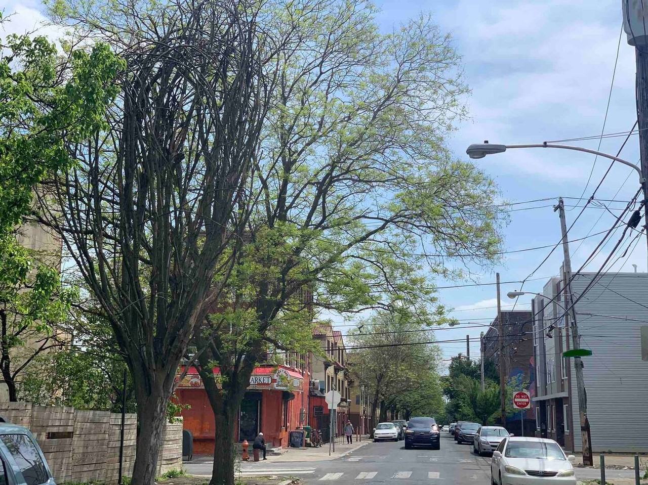 2110 N 7th St #1 - Photo 6 of 14