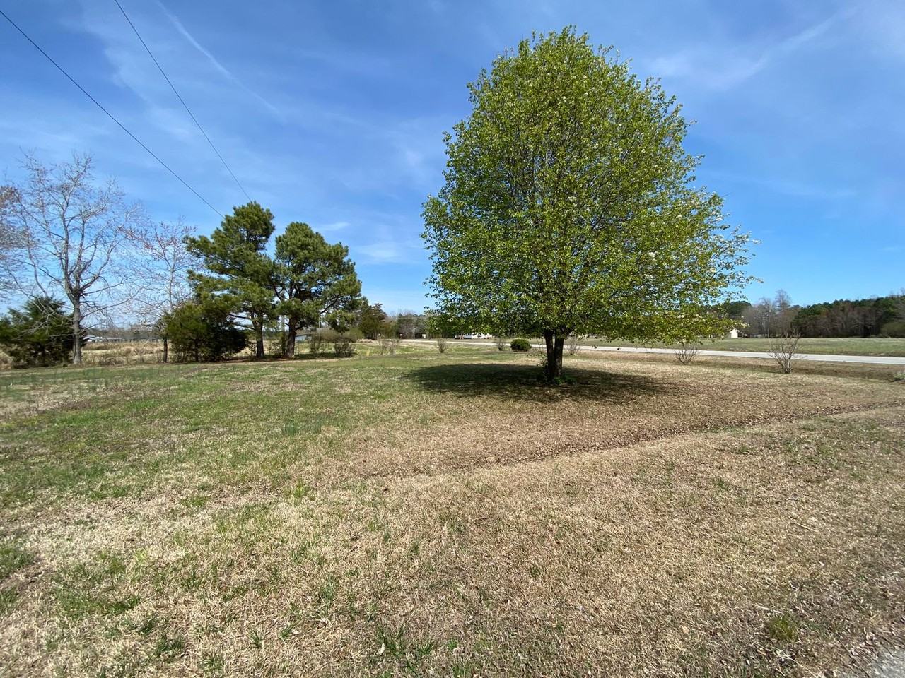 21 Sugar Run Rd - Photo 3 of 12