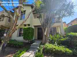 featured image of 71 Wonderland