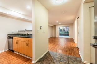 Modern Apartments - Photo 1 of 1