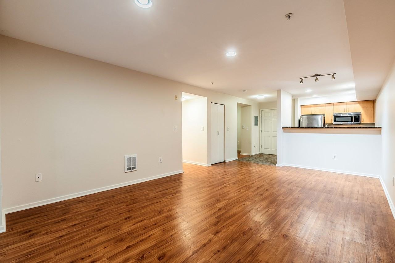 Modern Apartments - Photo 3 of 27