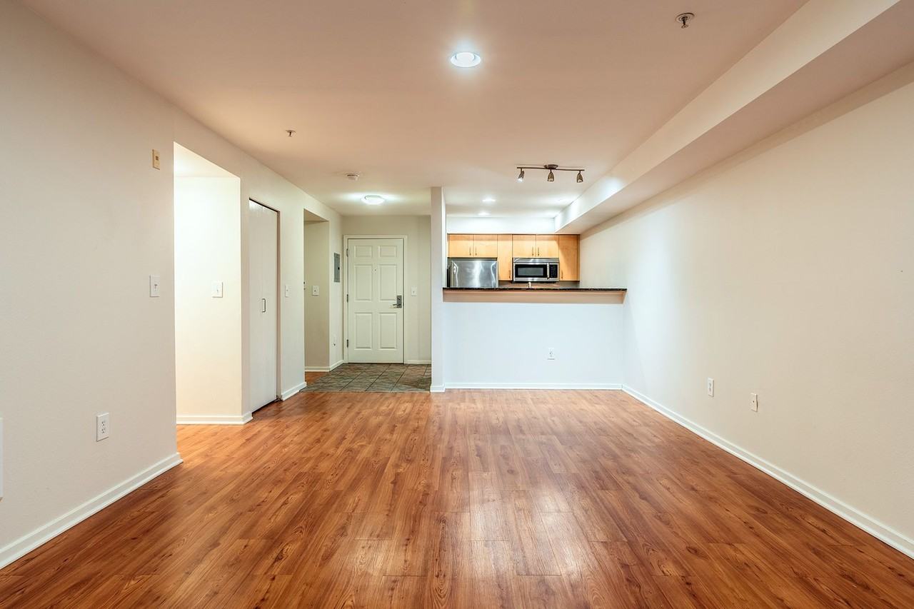 Modern Apartments - Photo 4 of 27