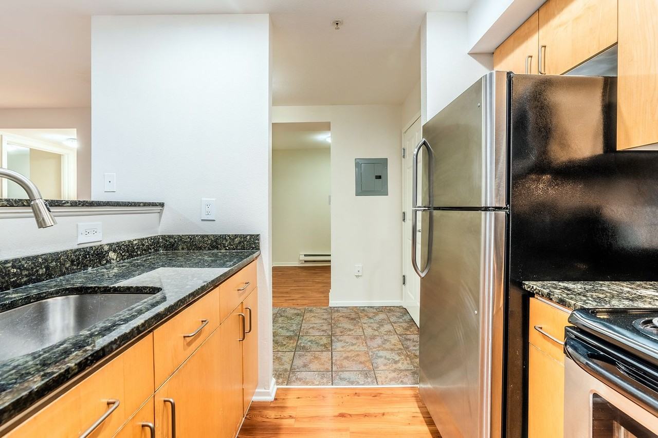 Modern Apartments - Photo 7 of 27