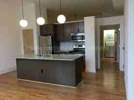 1315 Hull St #207 - Photo 1 of 1