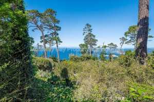 featured image of 214 Upper Walden Rd