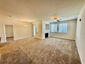 The Phoenician Collection - Photo 1 of 1