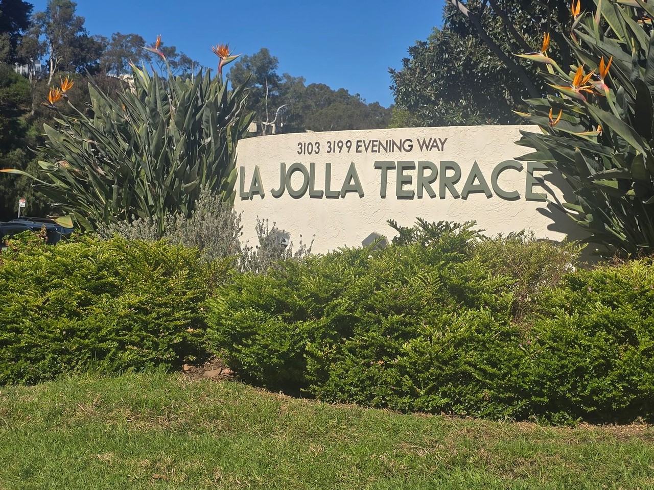 3109 Evening Way #C - Photo 5 of 26