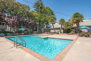 The Montclaire - Photo 1 of 1