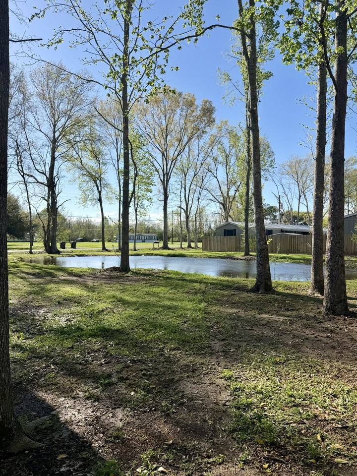 215 Martin Prejean Rd - Photo 3 of 20