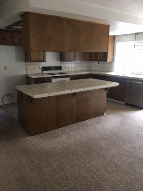 1920 Rohrer Dr - Photo 2 of 10