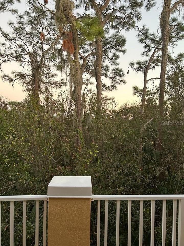 8807 White Sage Loop - Photo 4 of 19