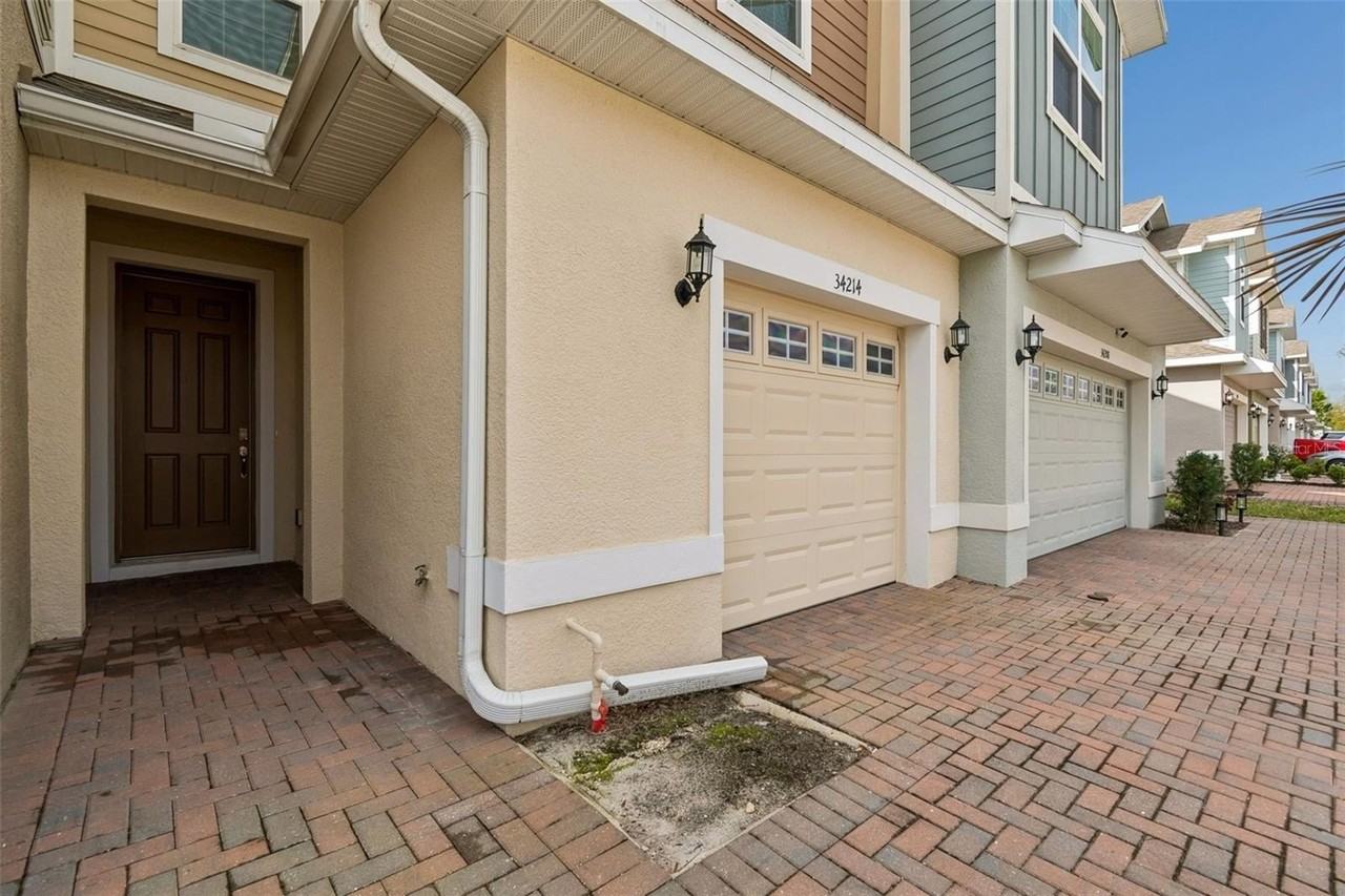 34214 Rogallo Ln - Photo 6 of 50