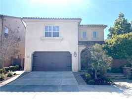 featured image of 40 Tall Cedars