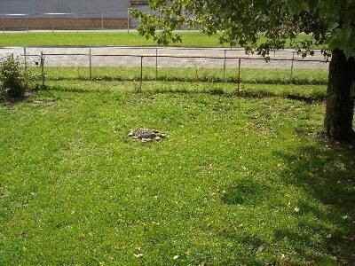 541 Griffith Ave Sw - Photo 2 of 9