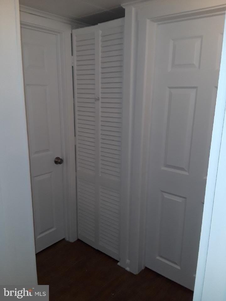 239 Seneca Ave - Photo 7 of 9