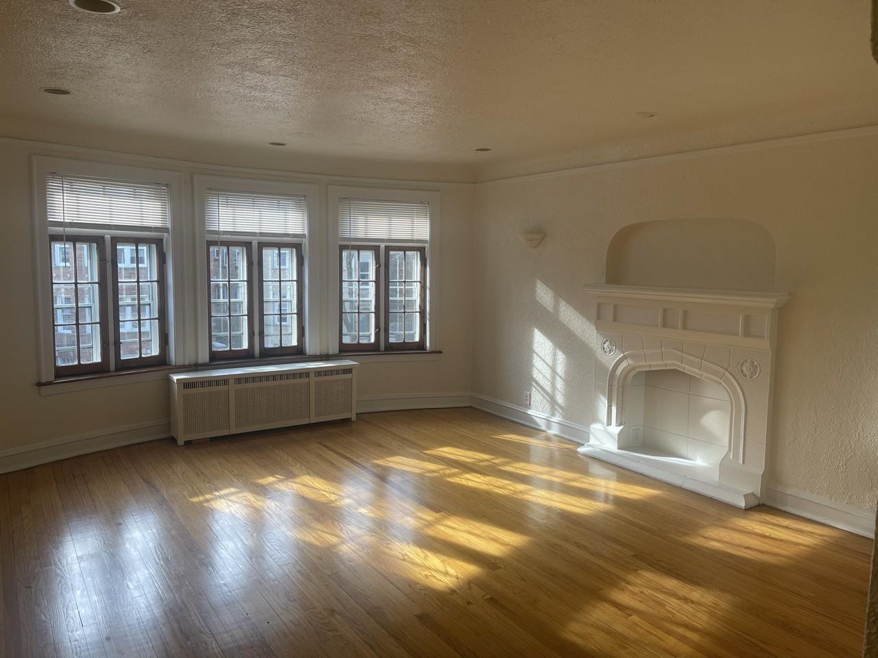 9045 S. Laflin St. - Photo 3 of 50