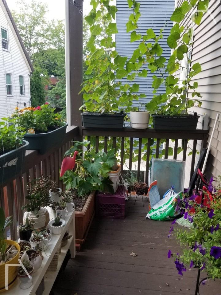 19 Portsmouth St #2 - Photo 4 of 14