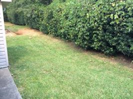 featured image of 104 Garden Spot Cir