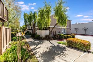 featured image of 8155 Westwood Dr