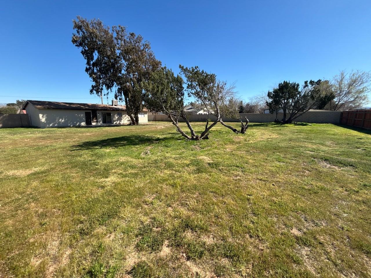 7574 7574 LincoIn Ave. - Photo 3 of 18