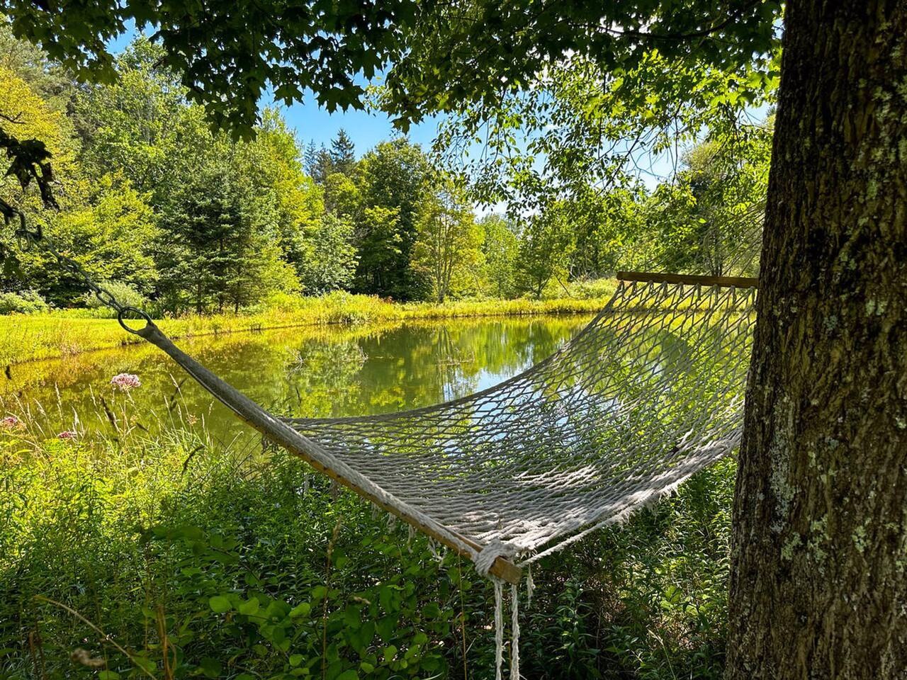 Sanford Hollow Rd #1492978P - Photo 5 of 41