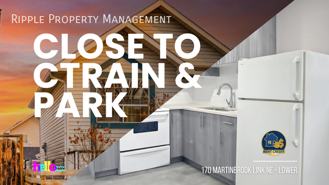 70 Martinbrook Link Ne #LOWER - Photo 1 of 1
