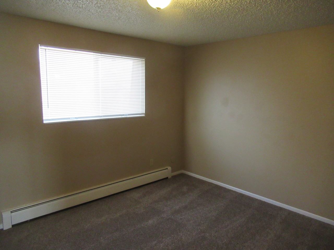 1155 Chiricahua Loop #1 - Photo 6 of 6