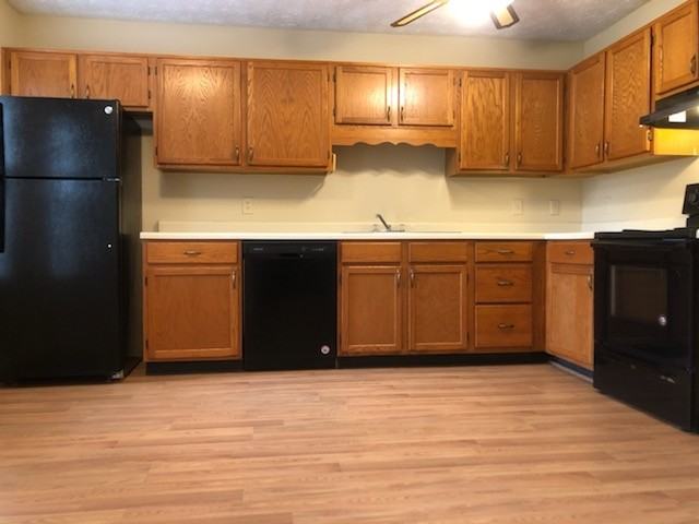 6642 Meadow Rue Dr - Photo 6 of 16