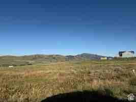 featured image of 10716 Id Ivory Tooth Trl #1