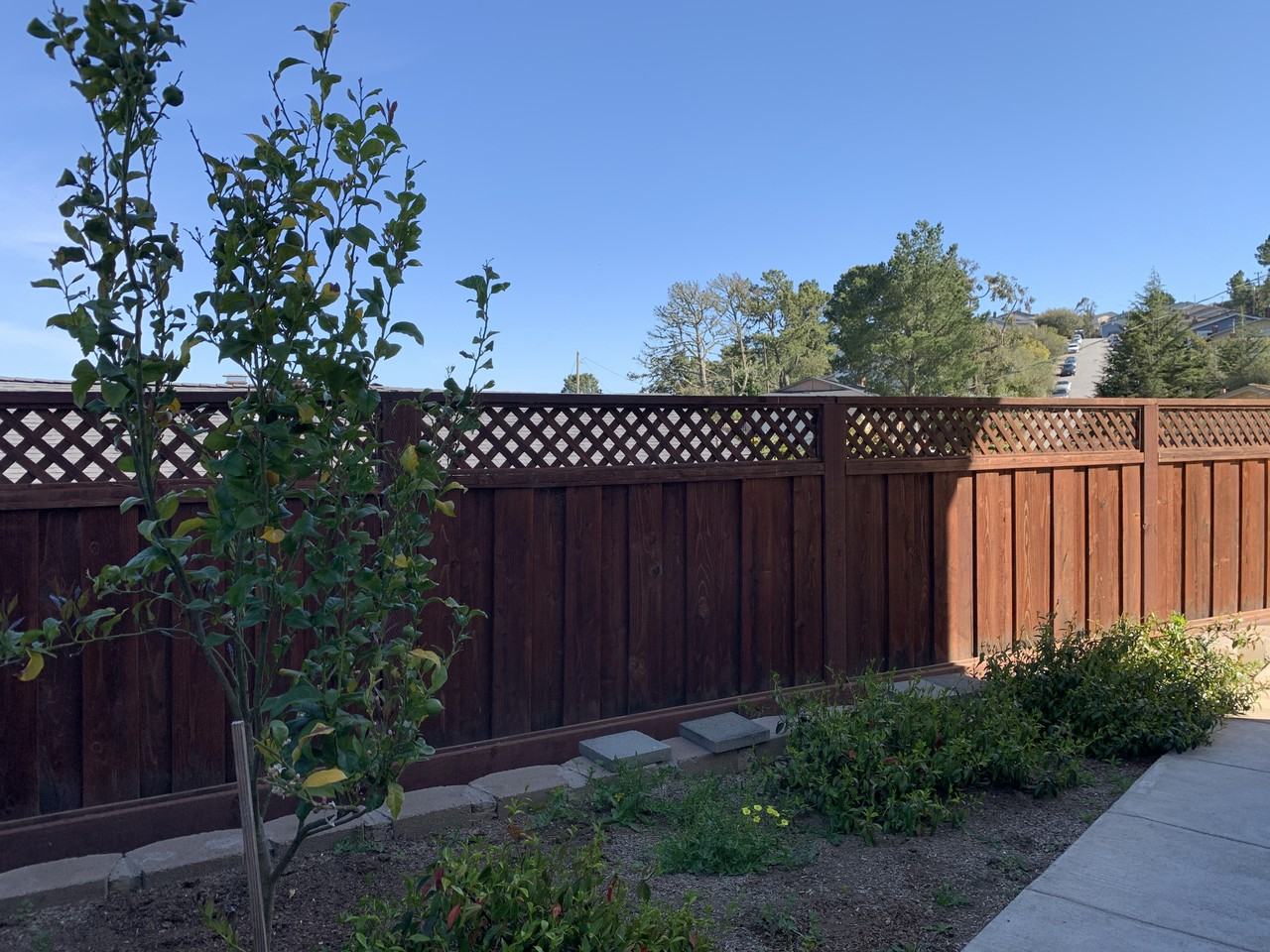 251 Amador Ave #251A - Photo 2 of 17