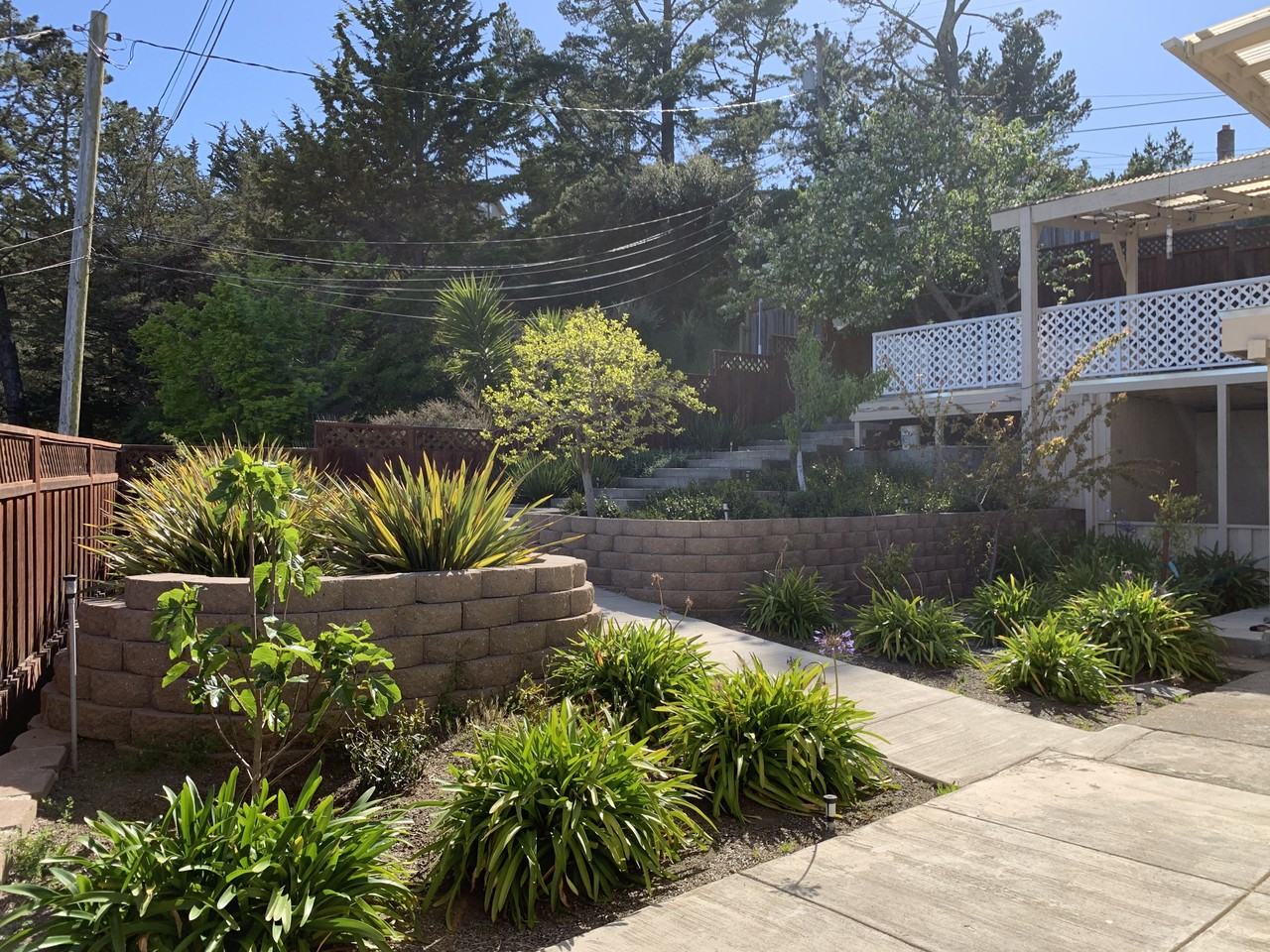 251 Amador Ave #251A - Photo 3 of 17