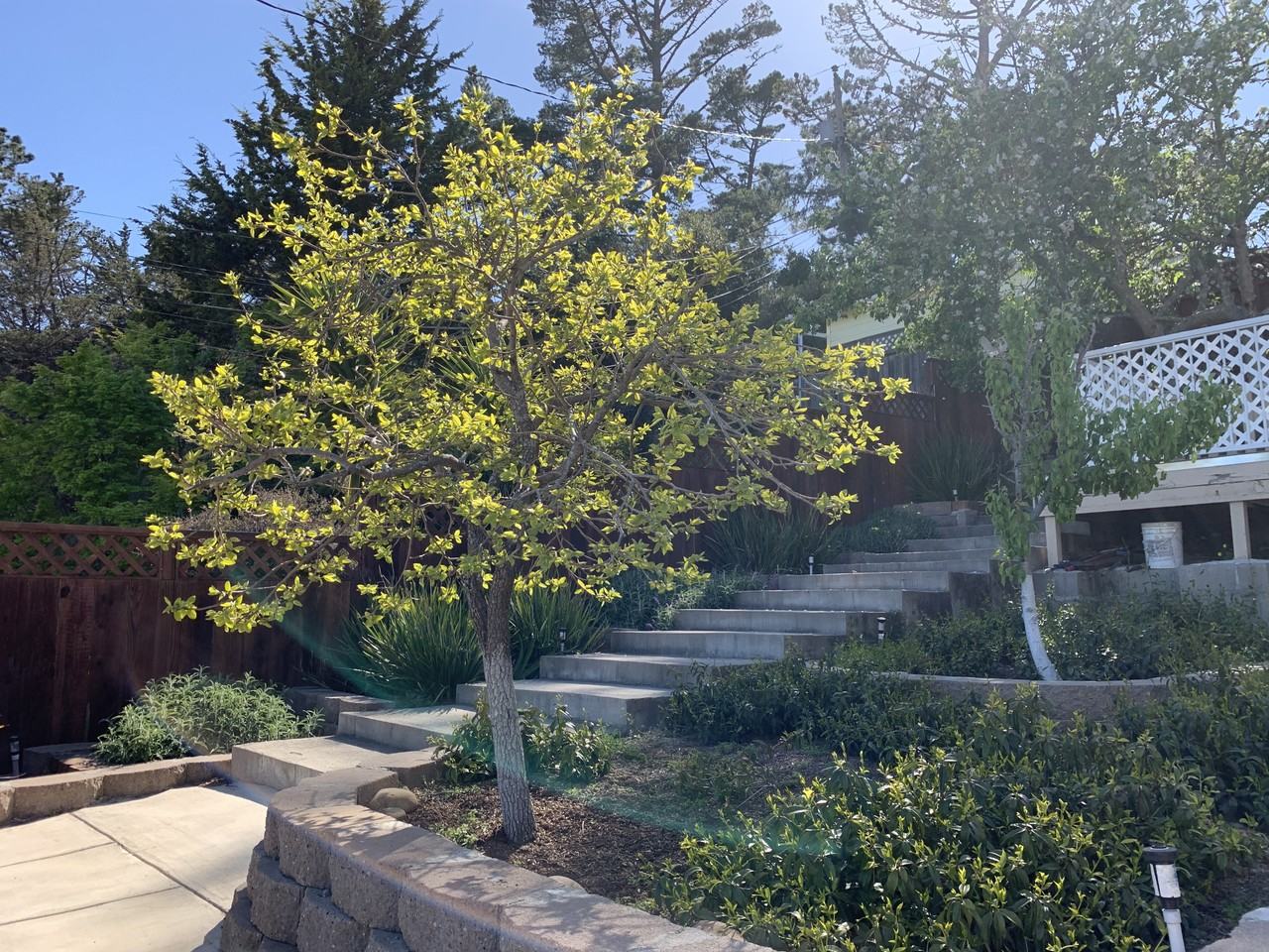 251 Amador Ave #251A - Photo 4 of 17