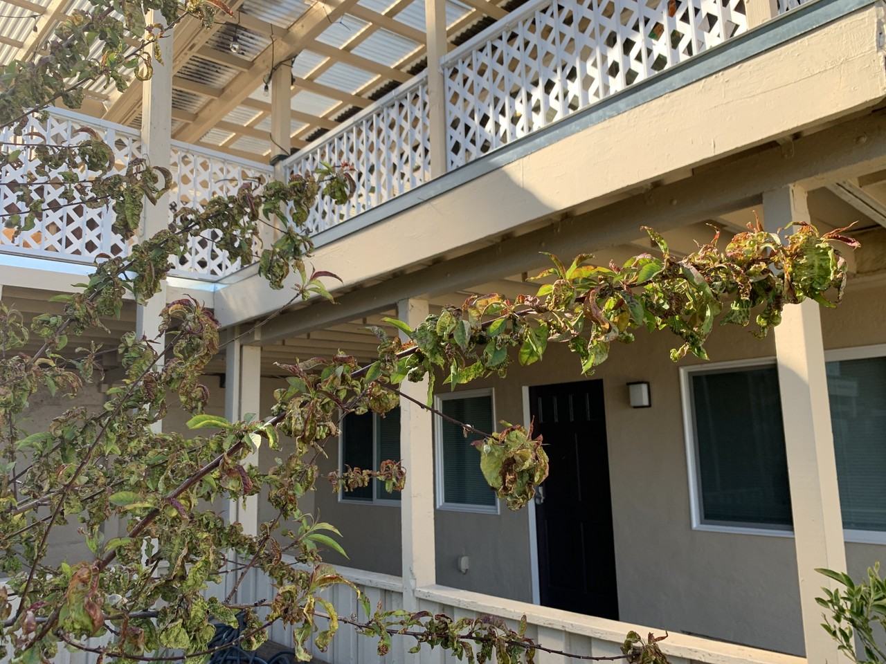 251 Amador Ave #251A - Photo 7 of 17