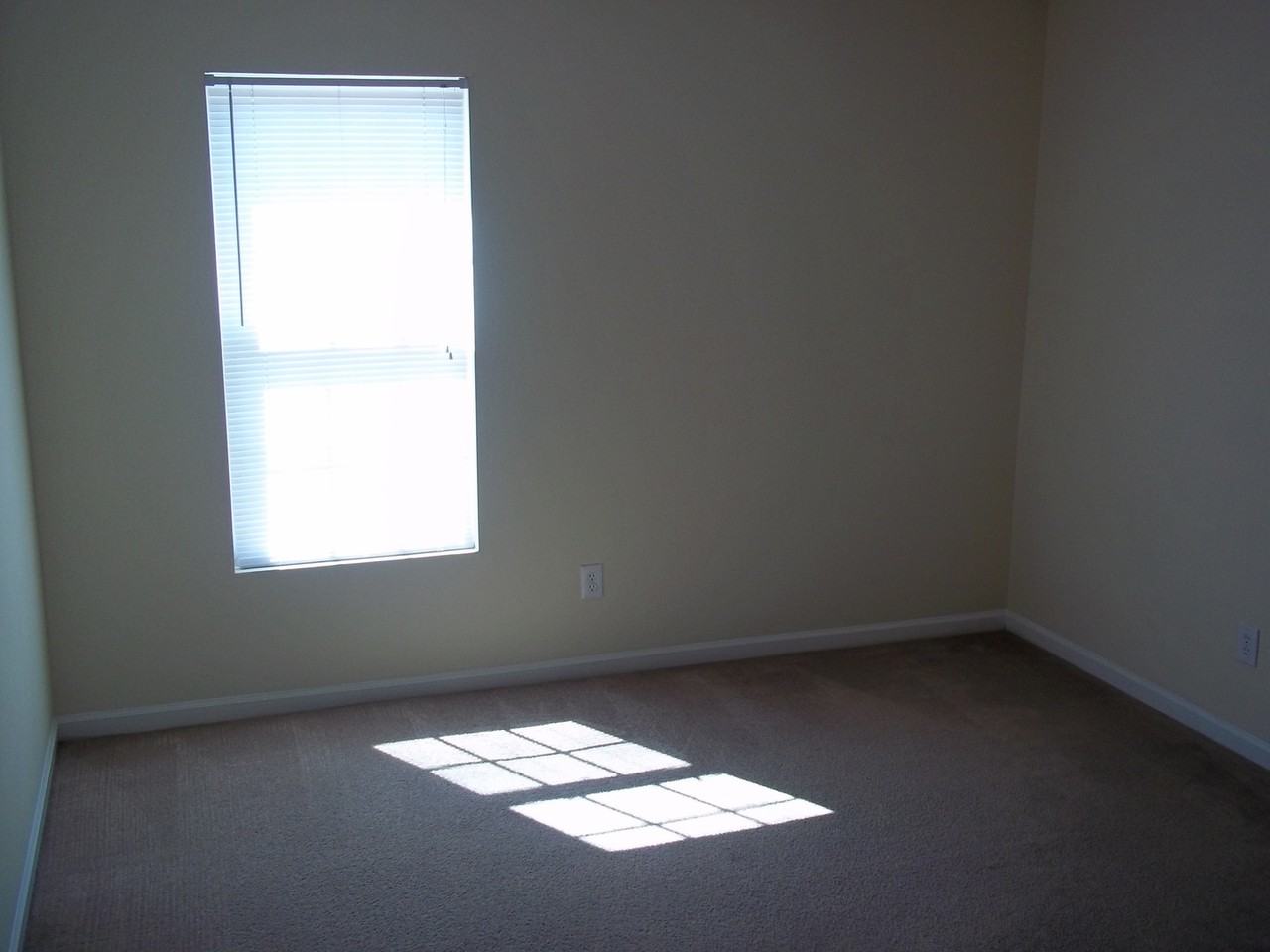 1041 Cherry Meadow Ln - Photo 7 of 12