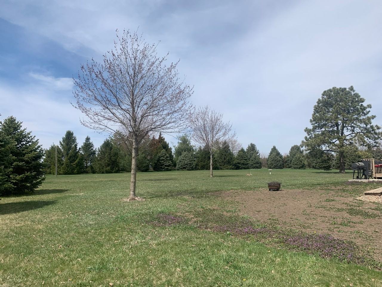 9705 S 98th St - Photo 5 of 6