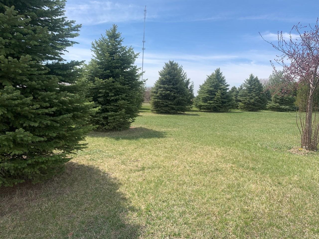 9705 S 98th St - Photo 6 of 6