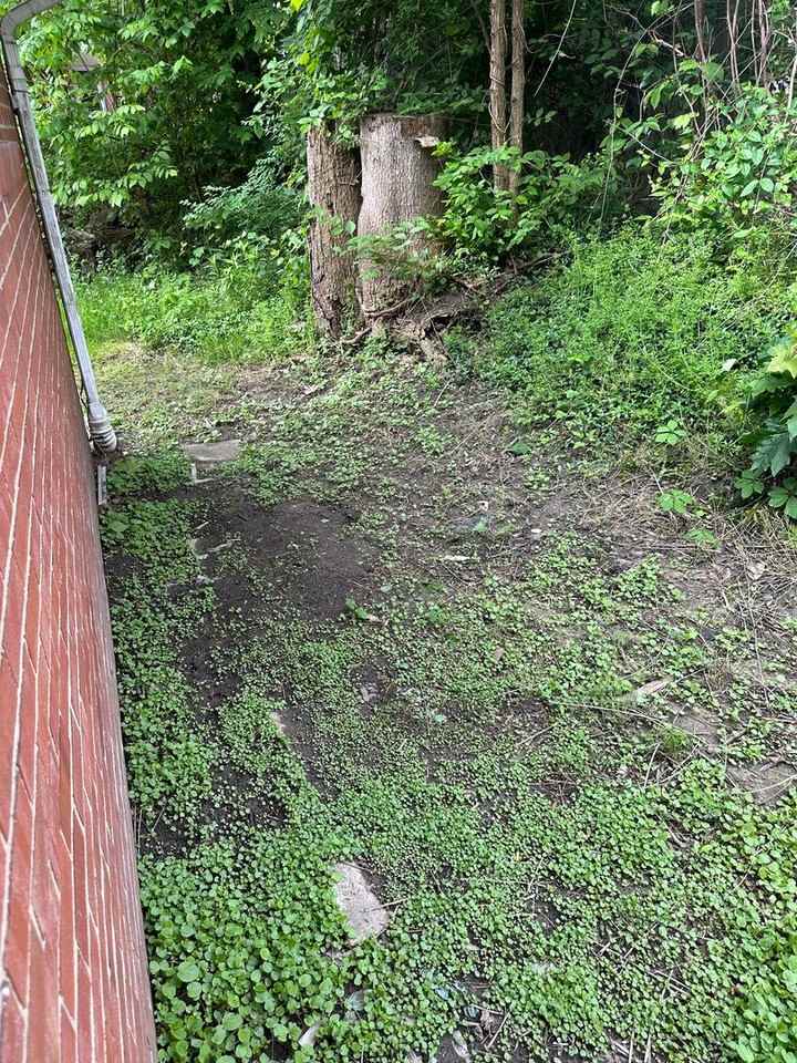 2321 E Midlothian Blvd - Photo 7 of 18