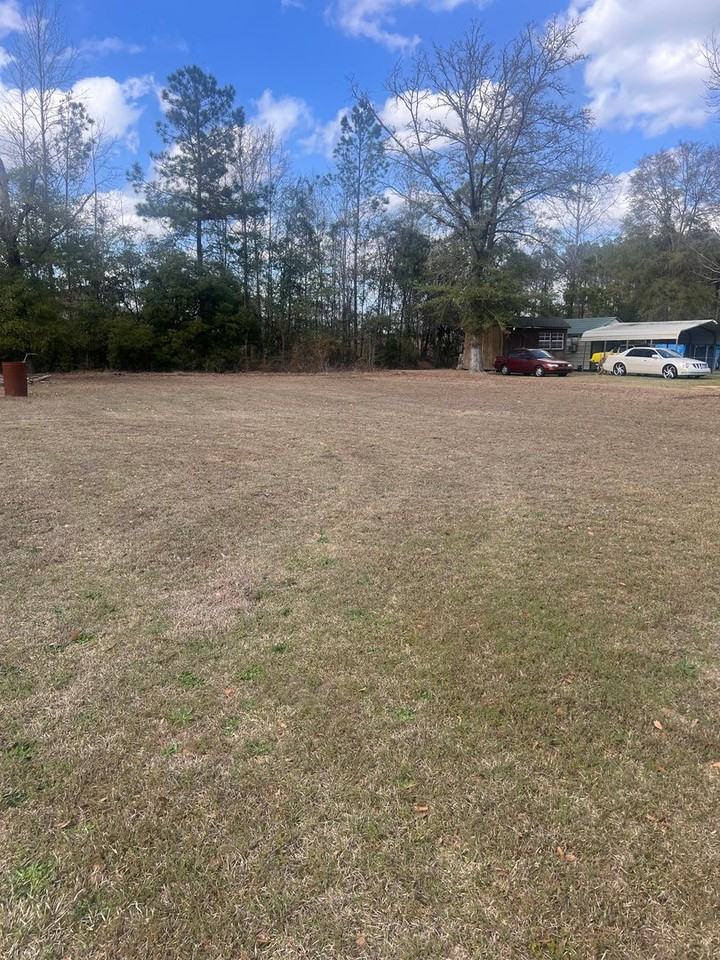 309 White Magnolia Ave - Photo 5 of 28