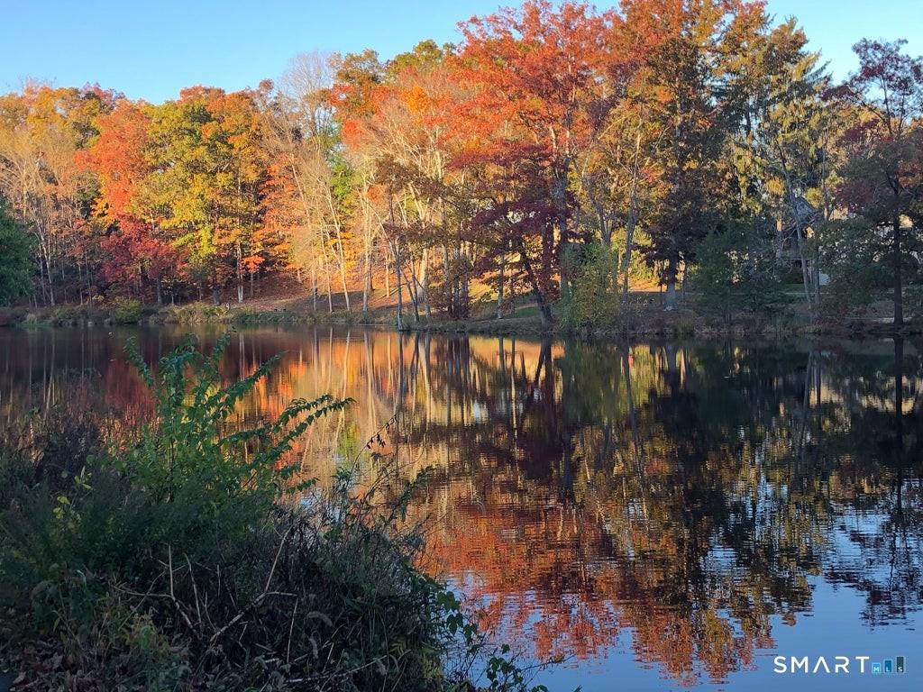 44A Heritage Vlg - Photo 3 of 21