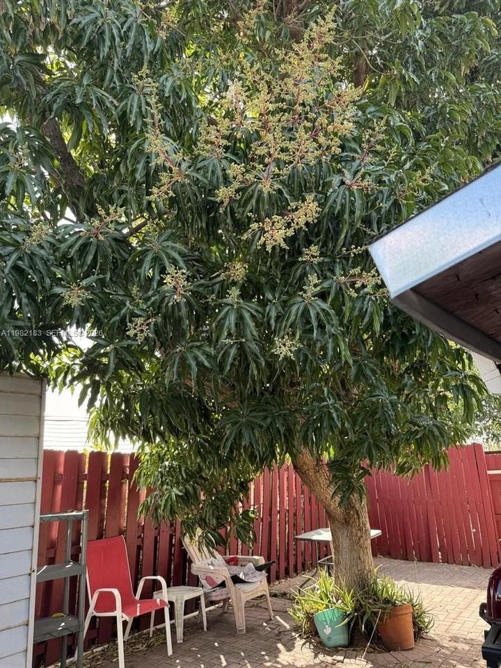 310 Ne 58th St #B - Photo 7 of 7