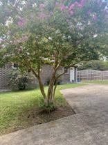 197 Hicks Rd - Photo 1 of 1