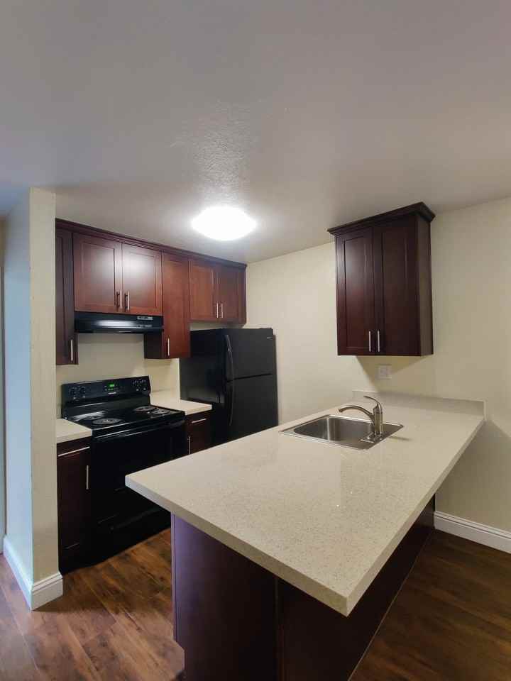 2732 Haste Street - Photo 5 of 38