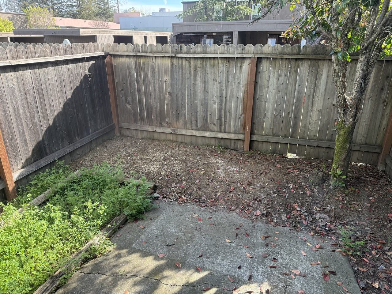 Russell Court Apartments - Photo 6 of 13