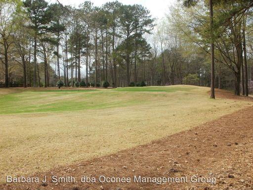 228 Beech Haven Ln - Photo 3 of 15