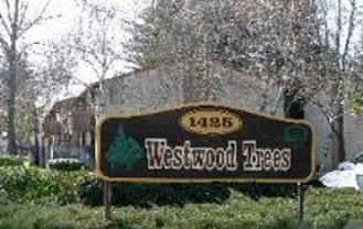 034 - Westwood Trees - Photo 1 of 1