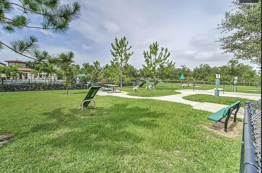 923 Terra Vista St #NA - Photo 7 of 50