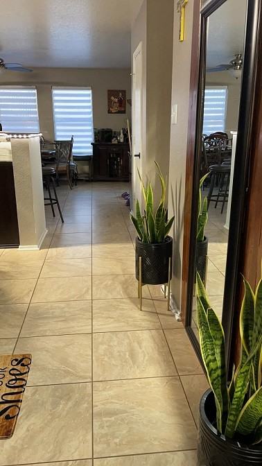 54 Basin Elm #NA - Photo 6 of 18