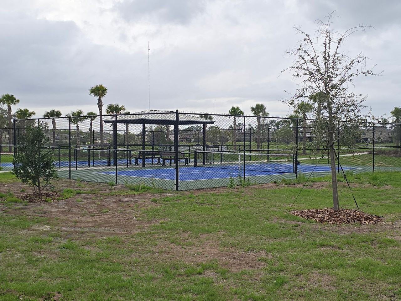 14659 Gallop Run Dr - Photo 5 of 7