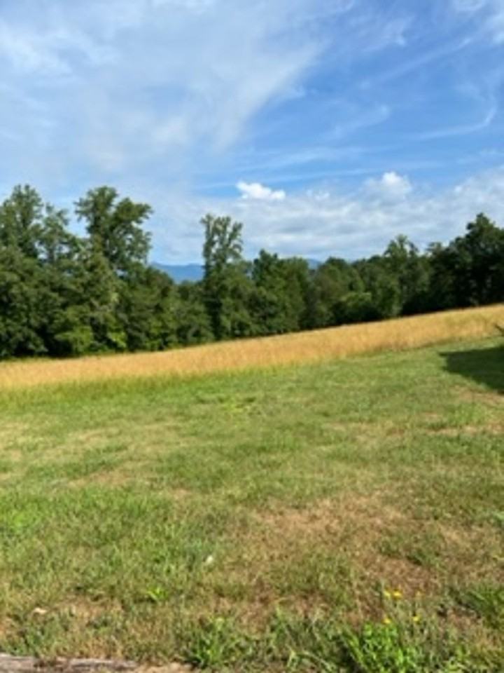 2611 Old Fort Sugar Hill Rd - Photo 6 of 6