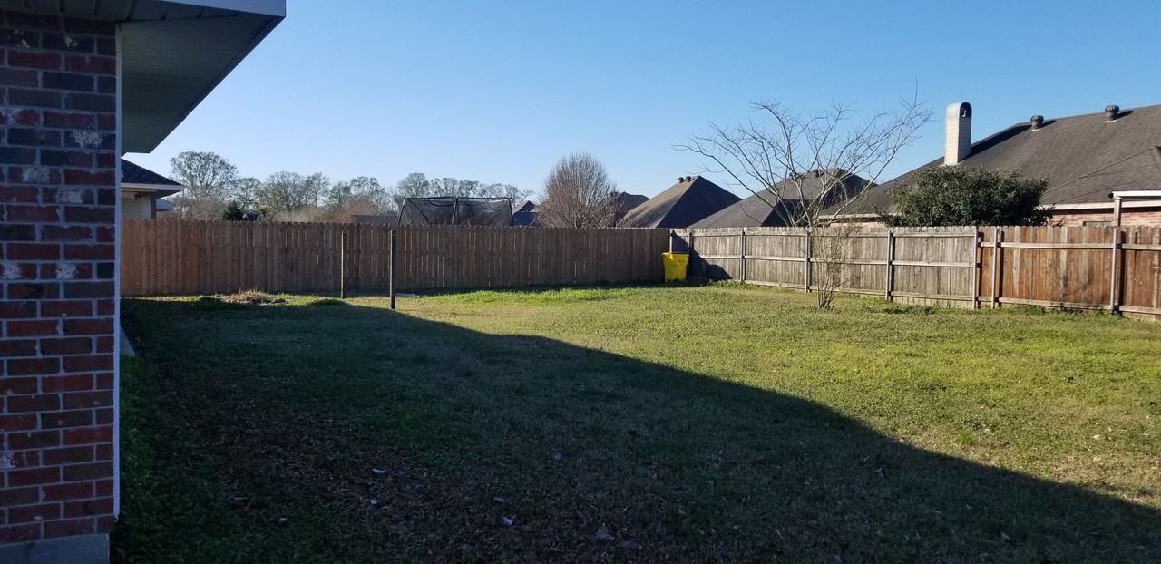 125 Festival Ln - Photo 2 of 12